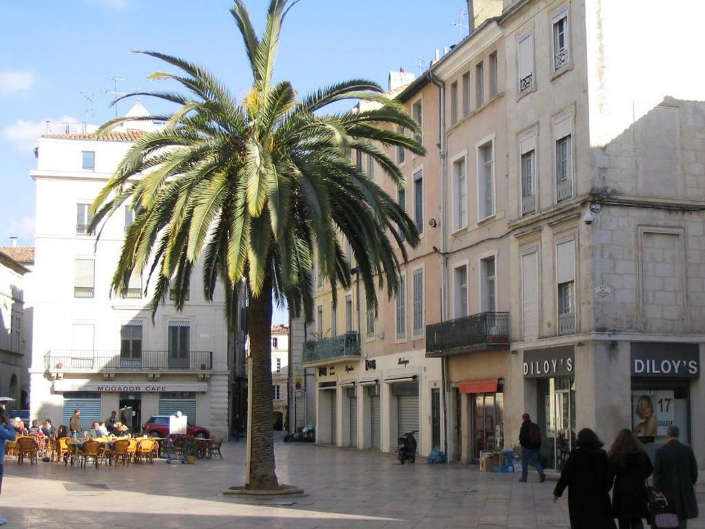 Le Logis De L'Etoile Leilighet Nîmes Eksteriør bilde